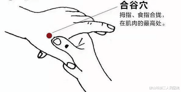 霜降|乱补有风险，这里有一份霜降后正确进补攻略