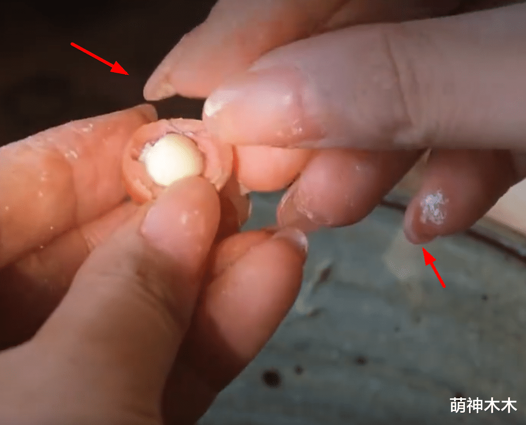 李子柒|李子柒停更超1年，模仿者越来越多却无人能火，网友：东施效颦