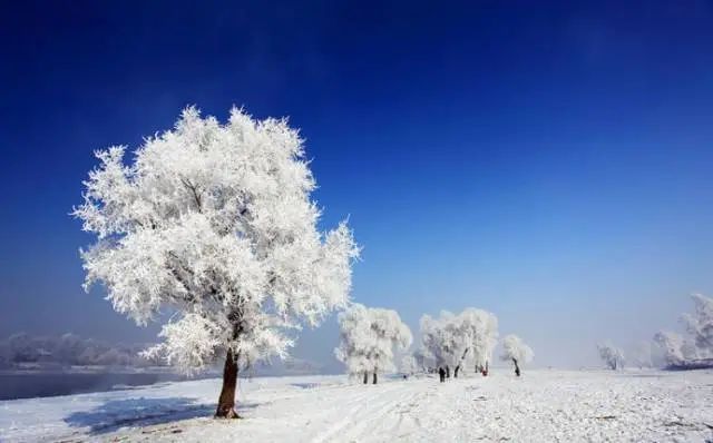 拍雪摄影技巧+攻略:如何展现冬季的冰清玉洁。