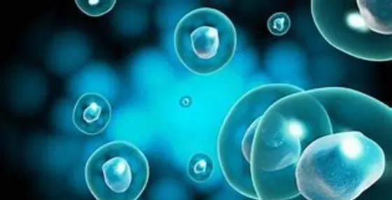 疾病|医院看病总是要抽血到底要查什么?每天抽那么多血,最终都去哪里了?