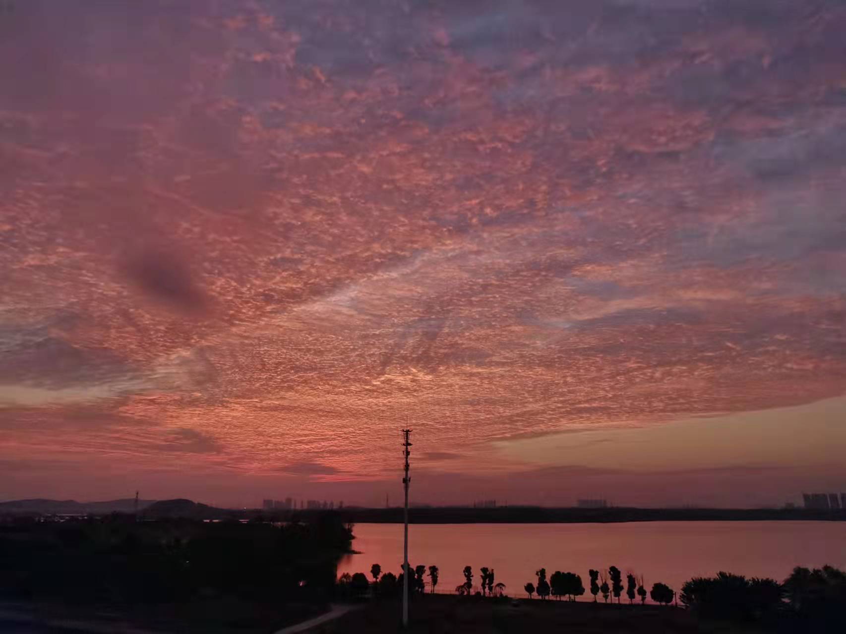 软件|《生活物集：蓝牙耳机》