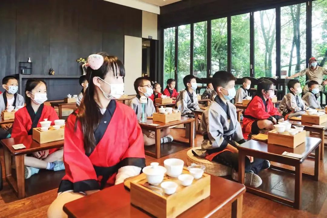 |茶——人在草木间