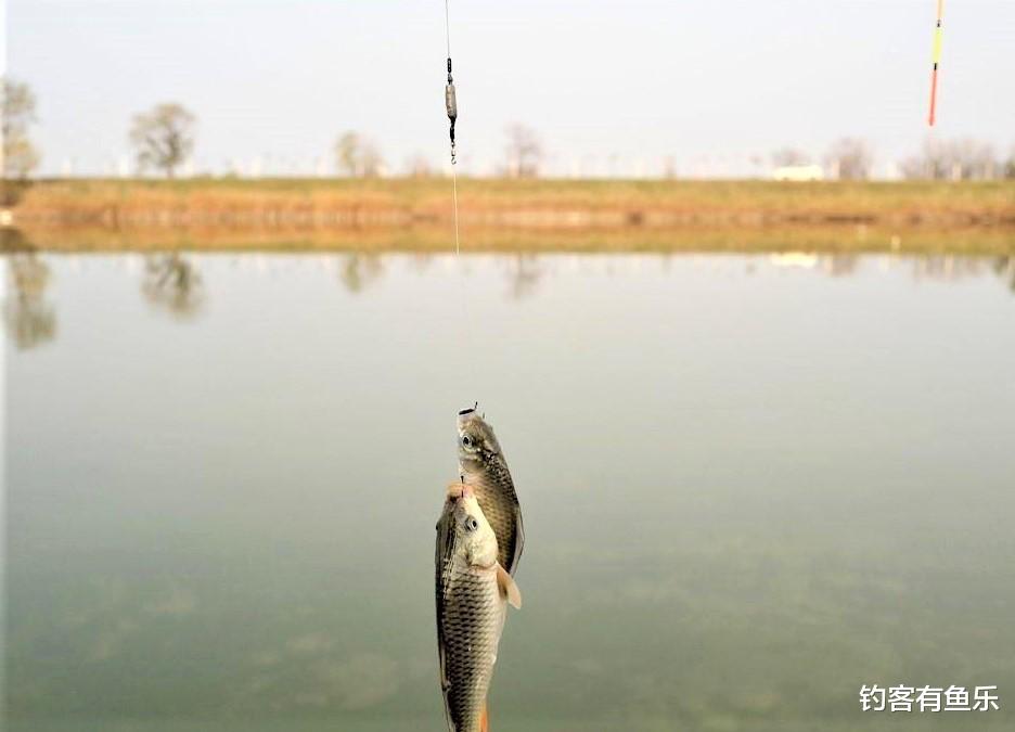 |春季钓鱼没有满意收获？做好这些细节，渔获量翻倍