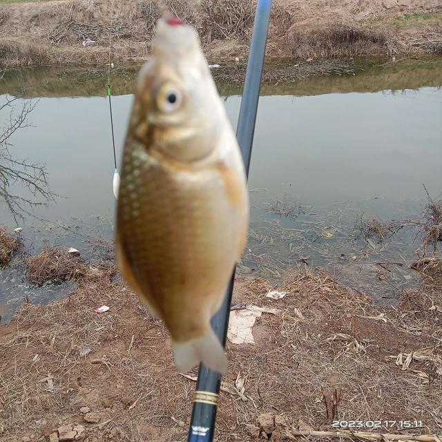 |初春野钓：钓深钓浅要灵活，这样钓渔获很理想