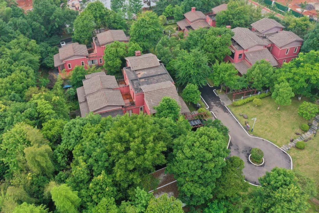 三清山|周末去哪儿玩 | 天冷了，该去咸宁泡温泉了！