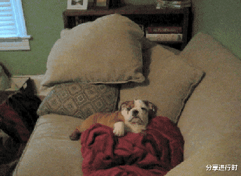 “和朋友一起住酒店，卫生间的小铁棍是干嘛的？”