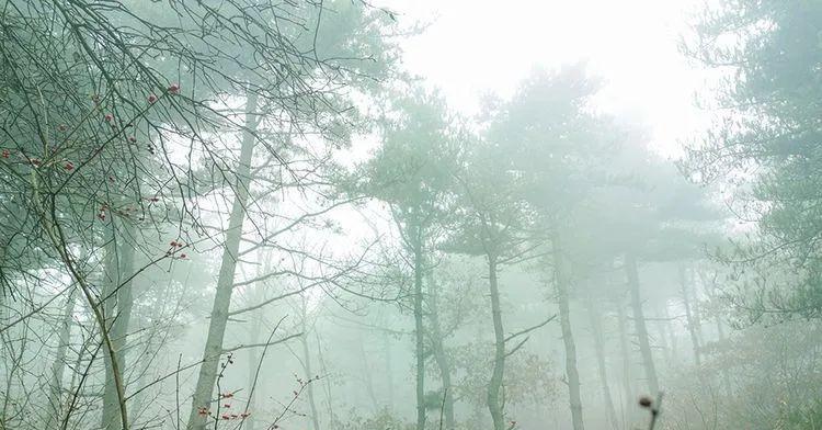 山西沁水：迷雾仙踪~云台山
