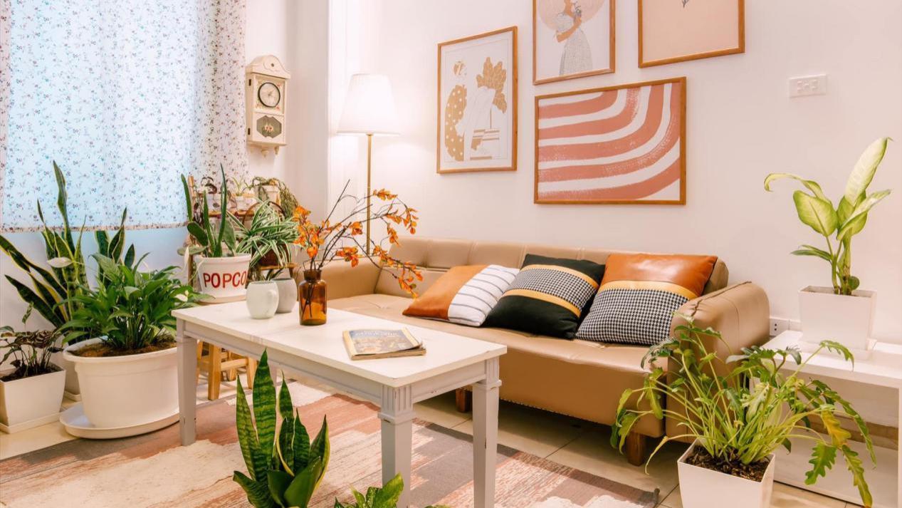 40㎡出租房改造：重新粉饰墙面+花草点缀，一不小心靠软装出圈