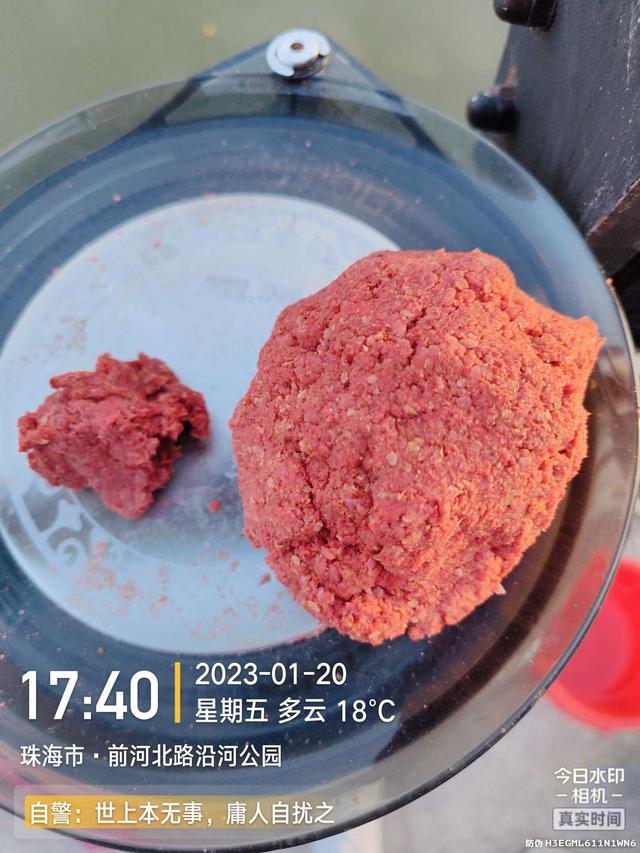 鳊鱼|堪称酣畅淋漓!好钓位真不是虚的