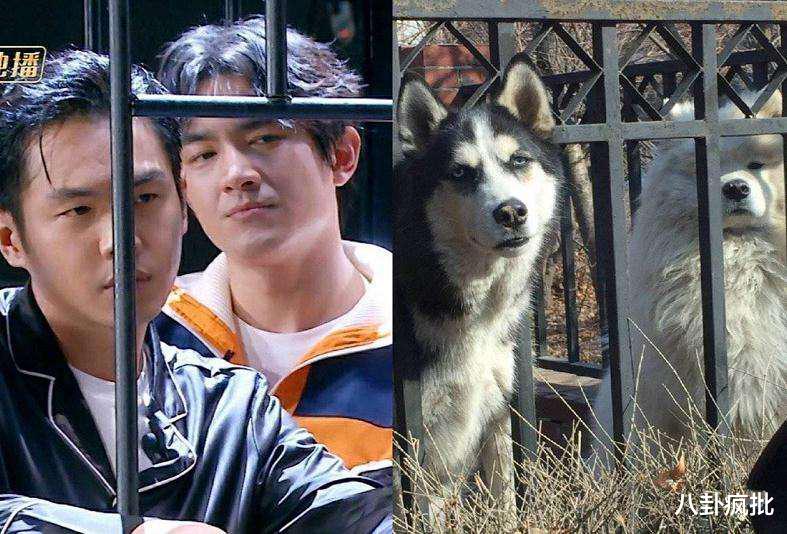 谋女郎|佳偶天橙be了？新谋女郎作死？林更新颜值拉胯？任素汐碰瓷刘雪华？