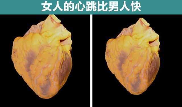关于人体真实存在的,9个让你可能怀疑一切的科学事实