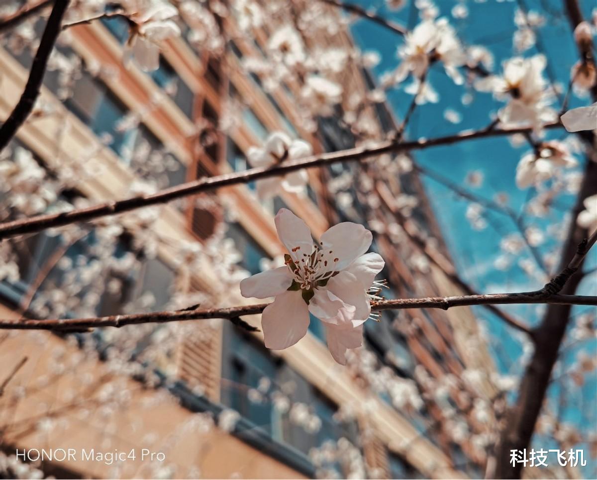 荣耀magic|安卓真旗舰来了，这机器比苹果香，荣耀Magic4 Pro全面评测