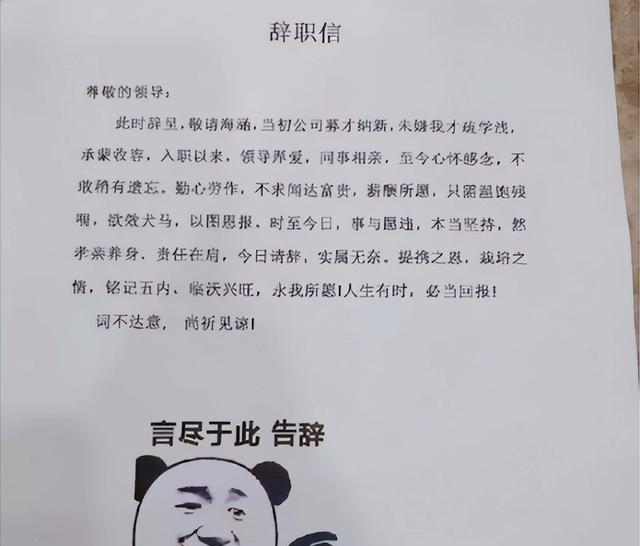 00后|“我要回云南避暑”，00后辞职理由太随意，没想到领导回复更扎心