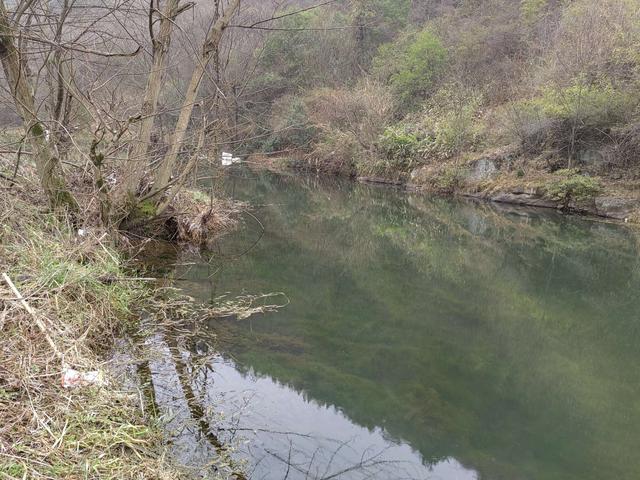 空军|火树银花闹元宵，大板鲫闻讯而来！