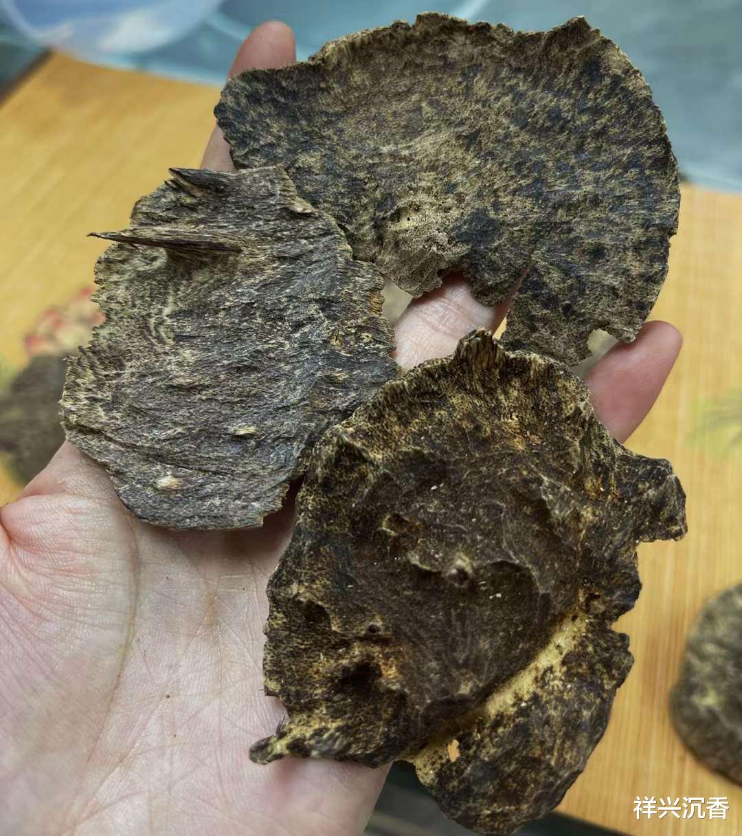 钱币|沉香十大关键词