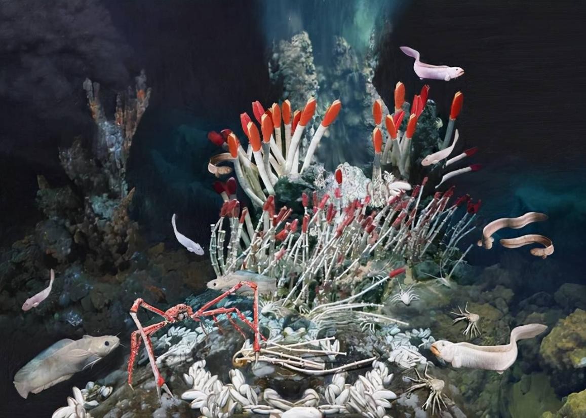 什么是世界上最耐热的生物?150℃都热不死,洗澡水堪比“岩浆”