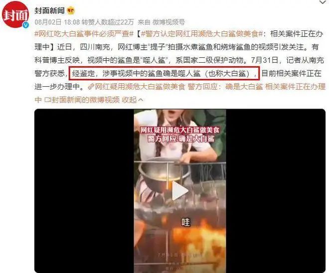 吃鲨鱼的网红,把自己作进去了!