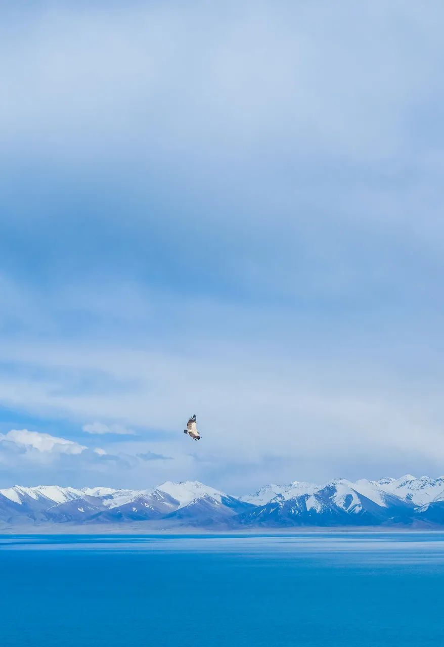西藏|精美图片：中国唯一没有树的城市！