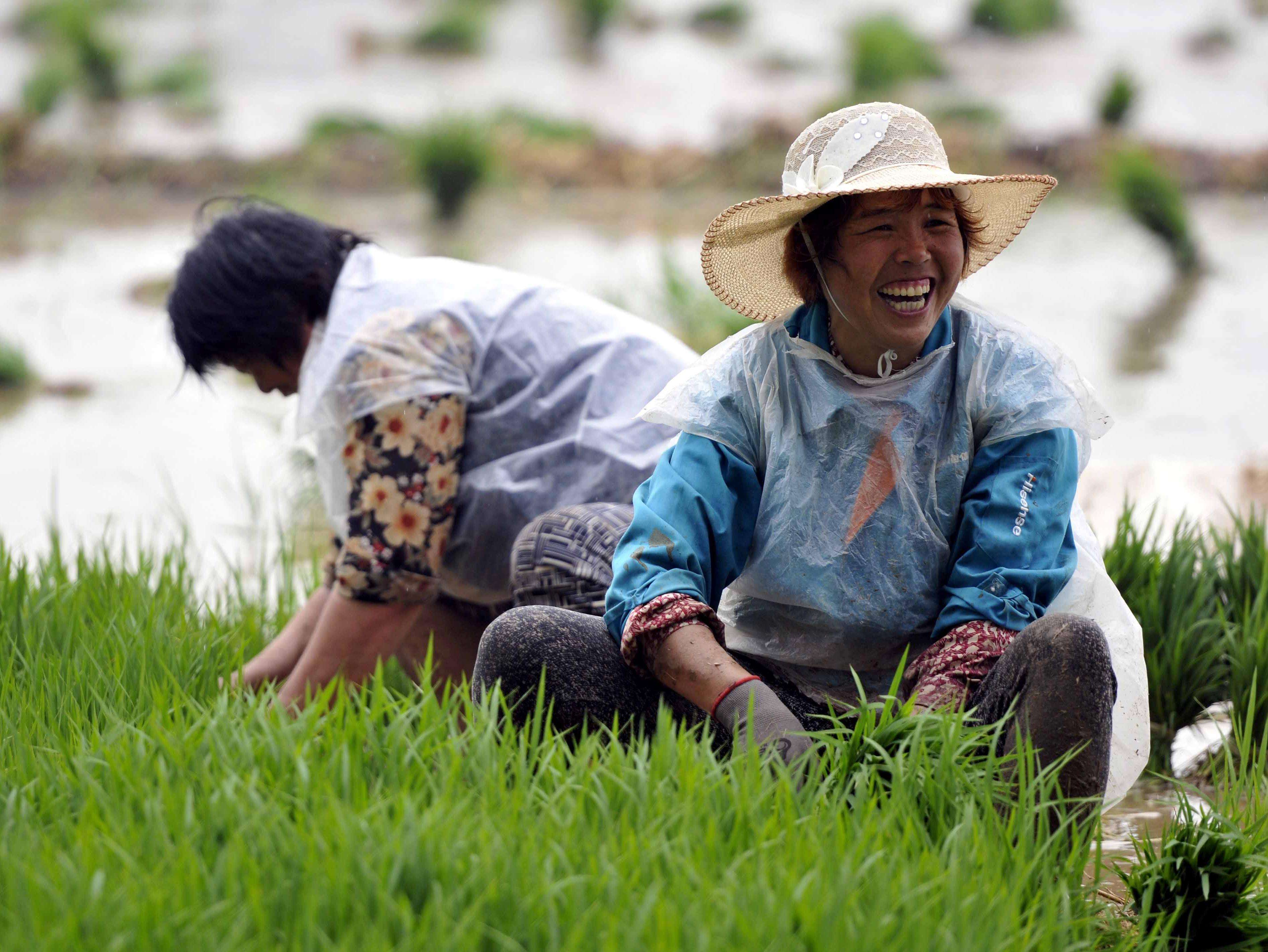 永劫无间|为什么农民的孩子几乎都不愿意种地做职业农民?