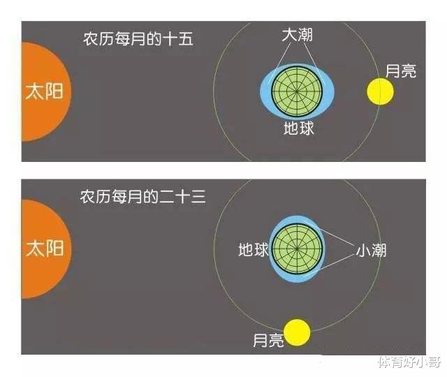 涨潮的海水来自哪里?退潮后的海水又去了哪里?