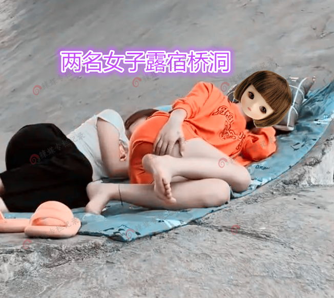 求婚|两女子在桥洞露宿，单身男子上前求婚：我缺个老婆，你俩谁愿意