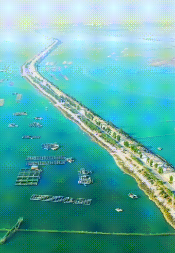 海岛|中国最美沿海公路，坐拥5大海岛，一路驶向大海，山海风光绝美