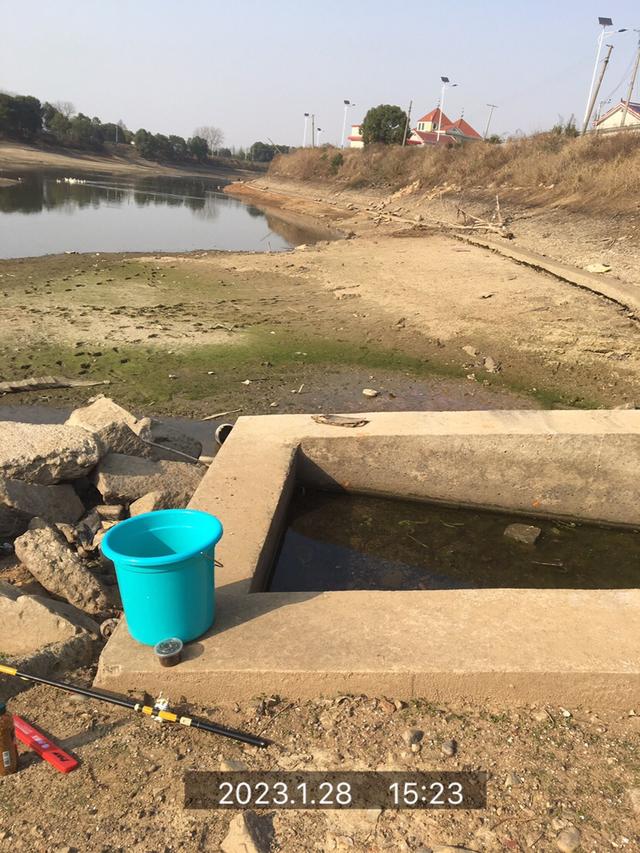 饵料|风和日丽开工日，鳊鳊起舞迎兔年！