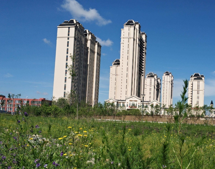 楼市|楼市下降的惯性出现了,多大的动能才能改变