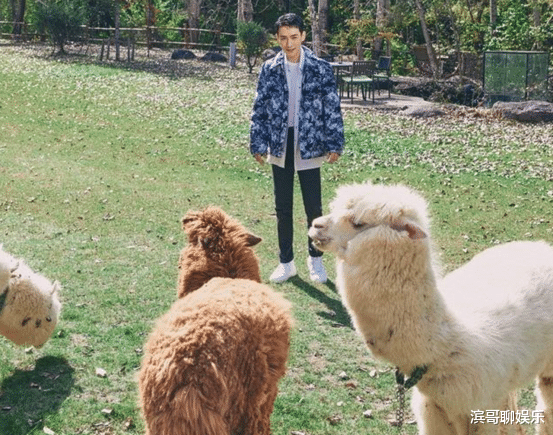 朱一龙|“六公主”暗戳戳“报复”朱一龙，此前采访时的“纠错行为”曝光