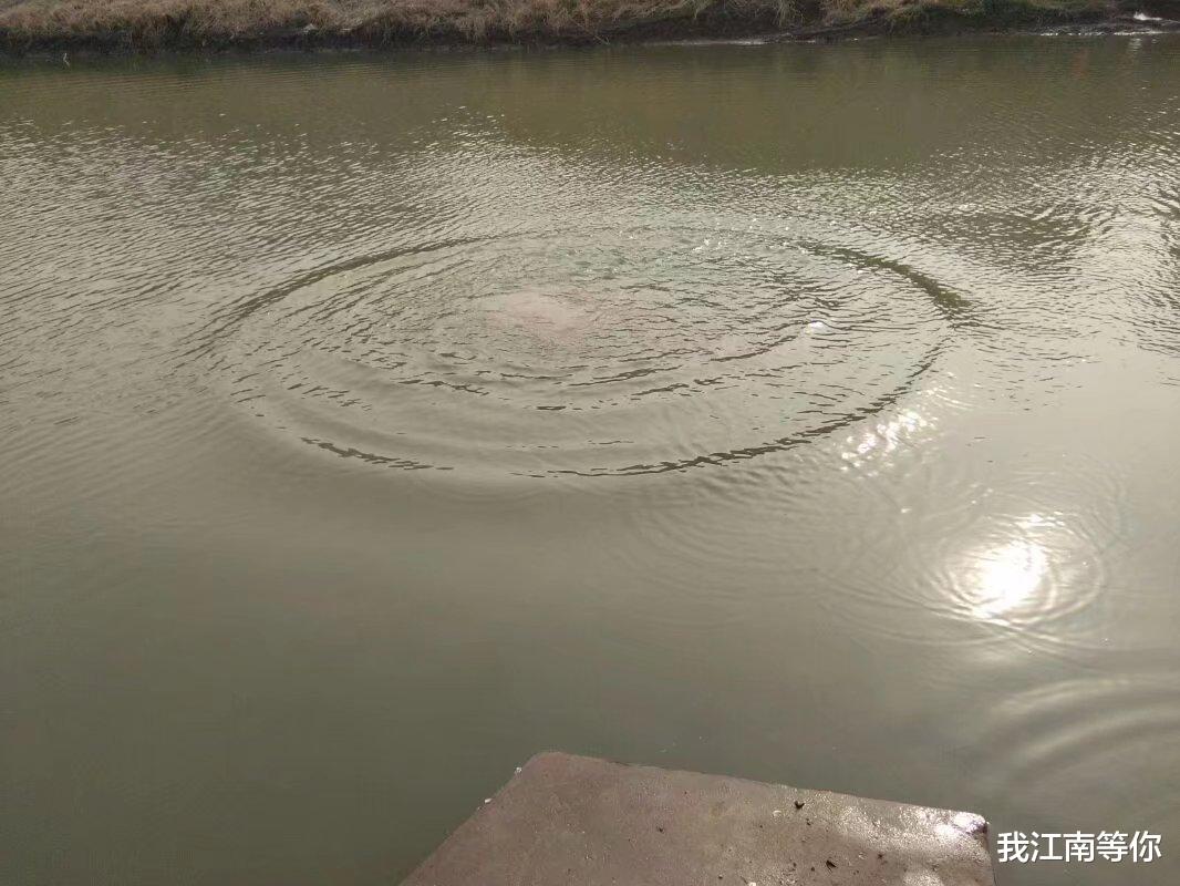 农村见闻|为什么有的乡村垂钓中心没落了？