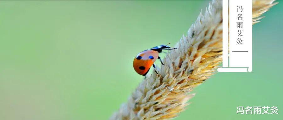 饮食|尿蛋白又多了?这几个穴位,让你养好肾,管住尿蛋白