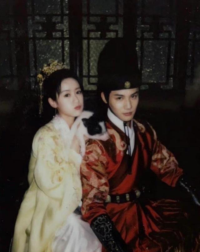 祝卿好|上周六开播这周六大结局，《祝卿好》无断更式排播引人叫好