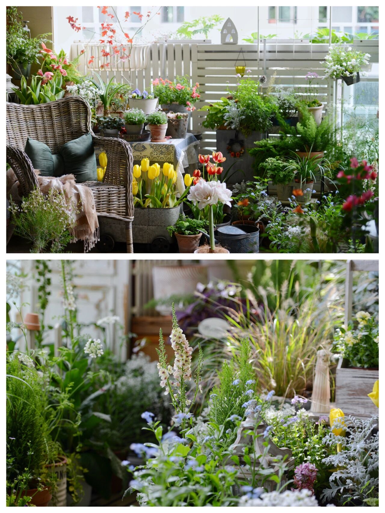 没有大院子,14㎡方寸阳台也能打造“四季小花园”,被美到了