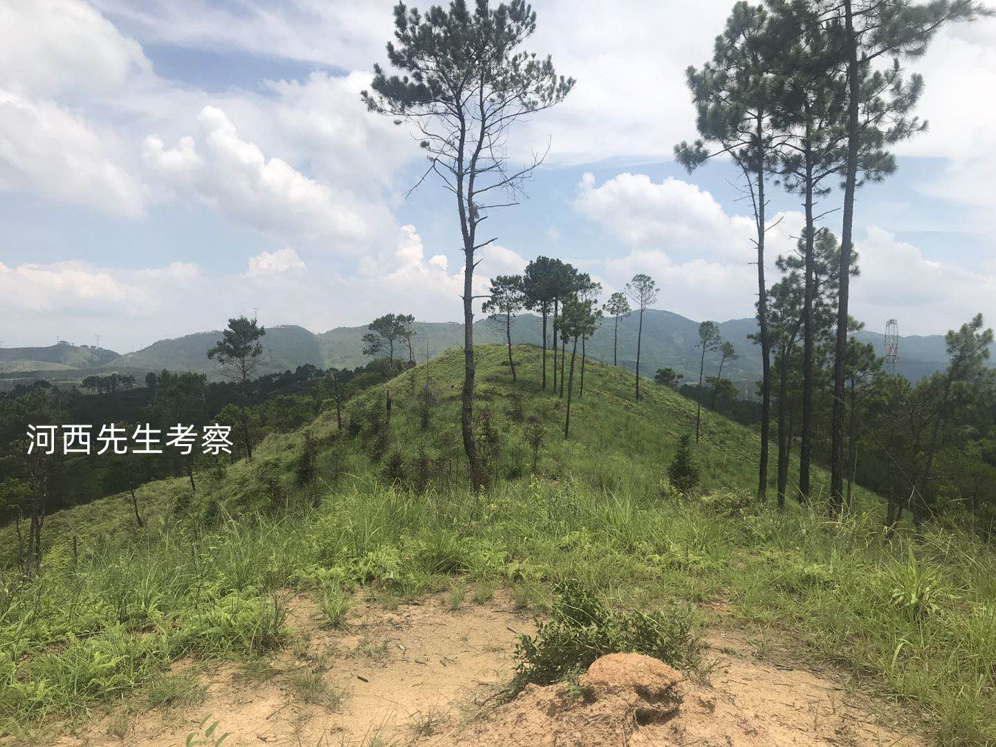 风水:牛眠地,大旺人丁!四百年,后人三四万之李氏祖坟考察分享(多图)