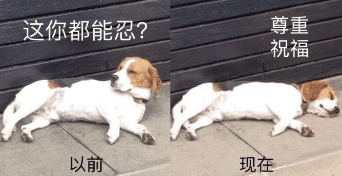 马思纯|马思纯牵手男友外出,肚子凸起身材像孕妇,两人有说有笑很甜蜜