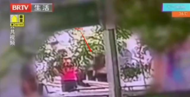 刘亦菲|出道11年的“快女”苏妙玲,因为救人成新闻,不红却活出了淡然