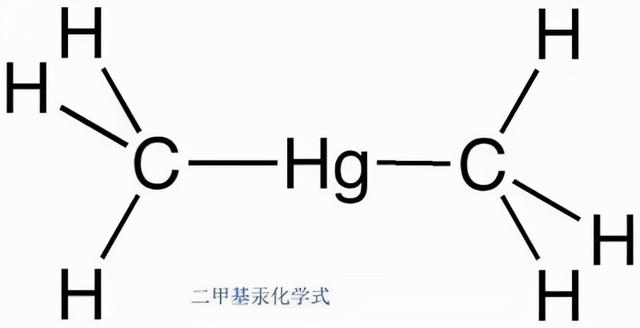 仅2秒操作失误,却让金属研究学界最出色的她“受尽折磨”,痛苦离世