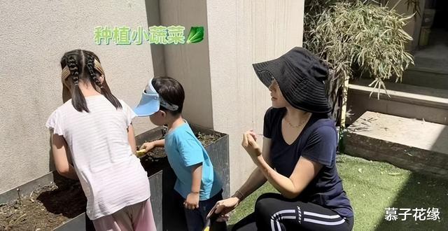 章子怡|43岁章子怡晒日常生活,带娃、种菜,越来越接地气,网友:她变了