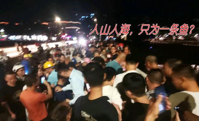 |牌面！福州老伯遭遇大青鱼，半条街的人都来看，上鱼瞬间掌声雷动