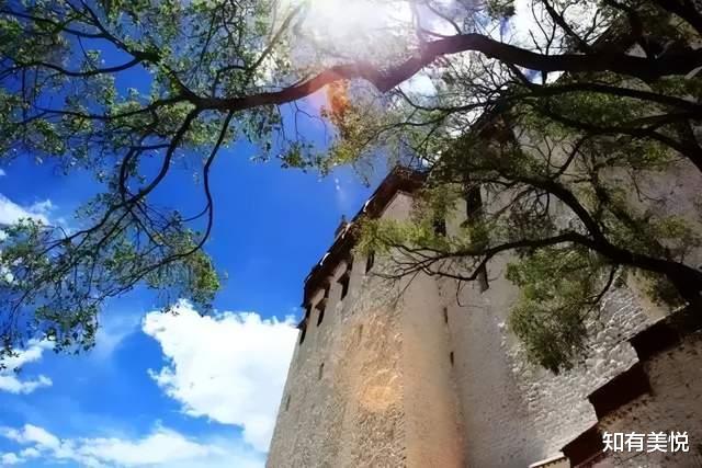 神农架|这8个初夏好去处,遇见限定的风景,看看你对哪个更心动吧!