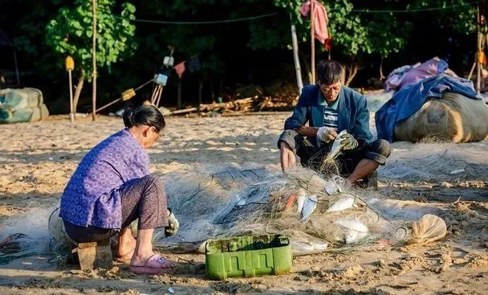 北海湿地|2022年60岁前必去20个，你去过几个？