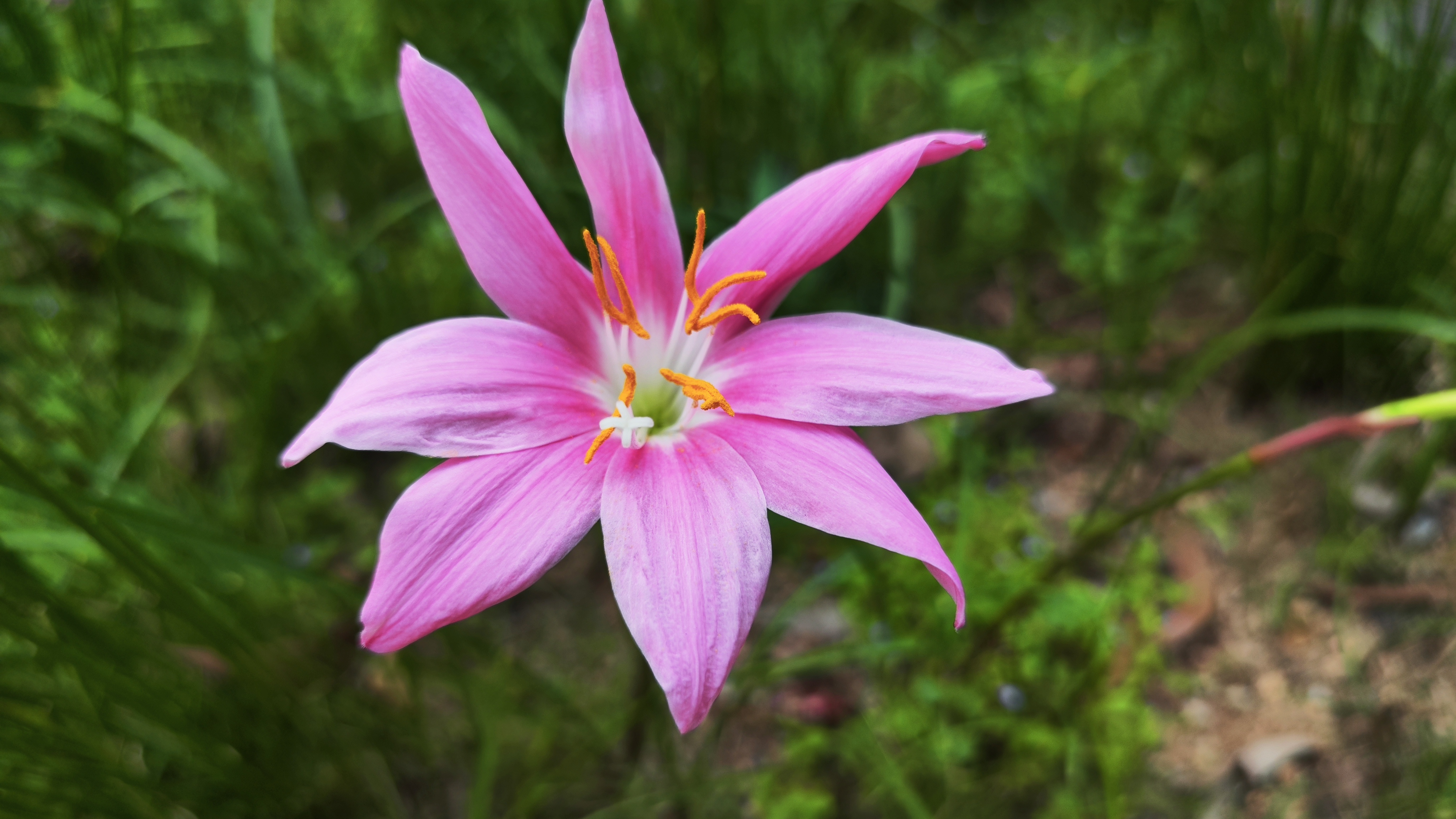 在大都市,乘坐公共交通都大有学问
