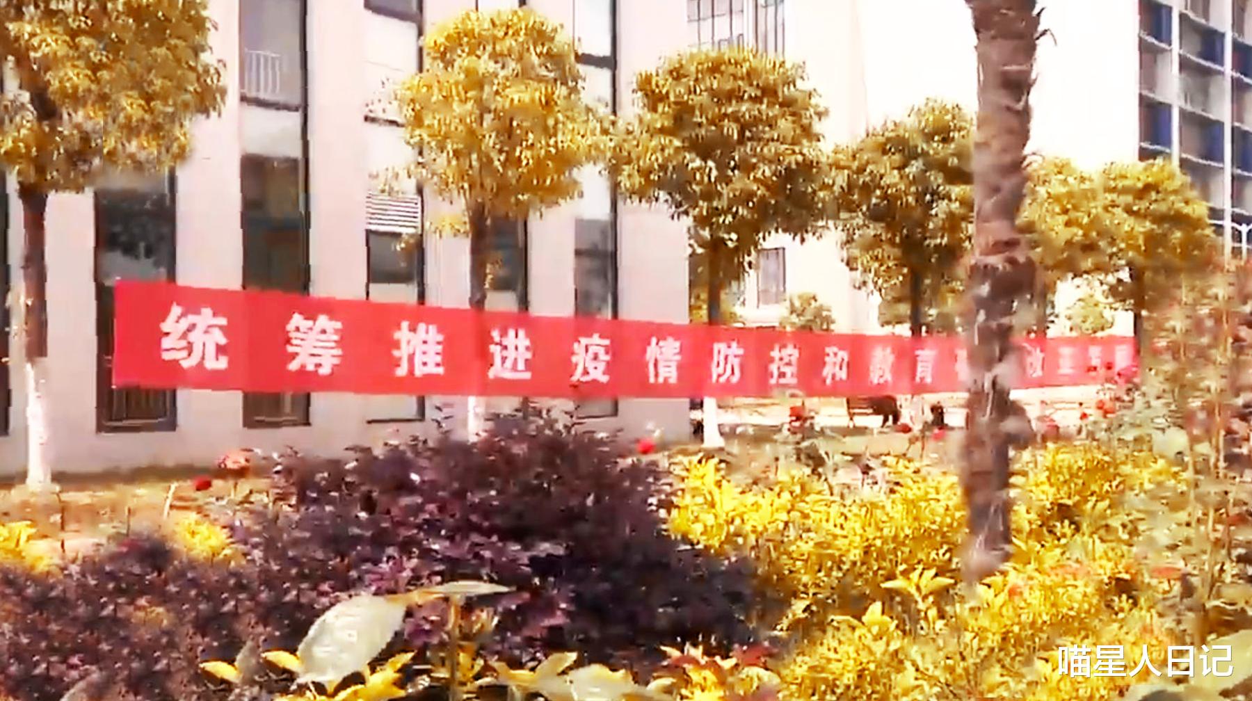 南昌|在武汉黄陂随拍一座高校，环境僻静清幽，集装箱式学生后街是亮点