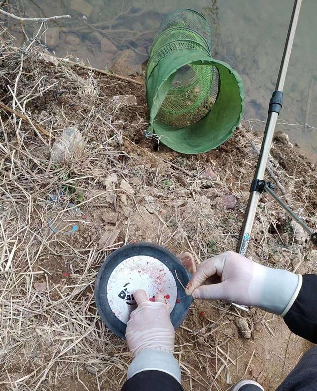 |不喜元宵人游街，只爱河边戏游鱼！