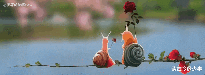 断舍离女孩出圈上央视,88㎡的家仅6件家具,常年坚持“不消费”