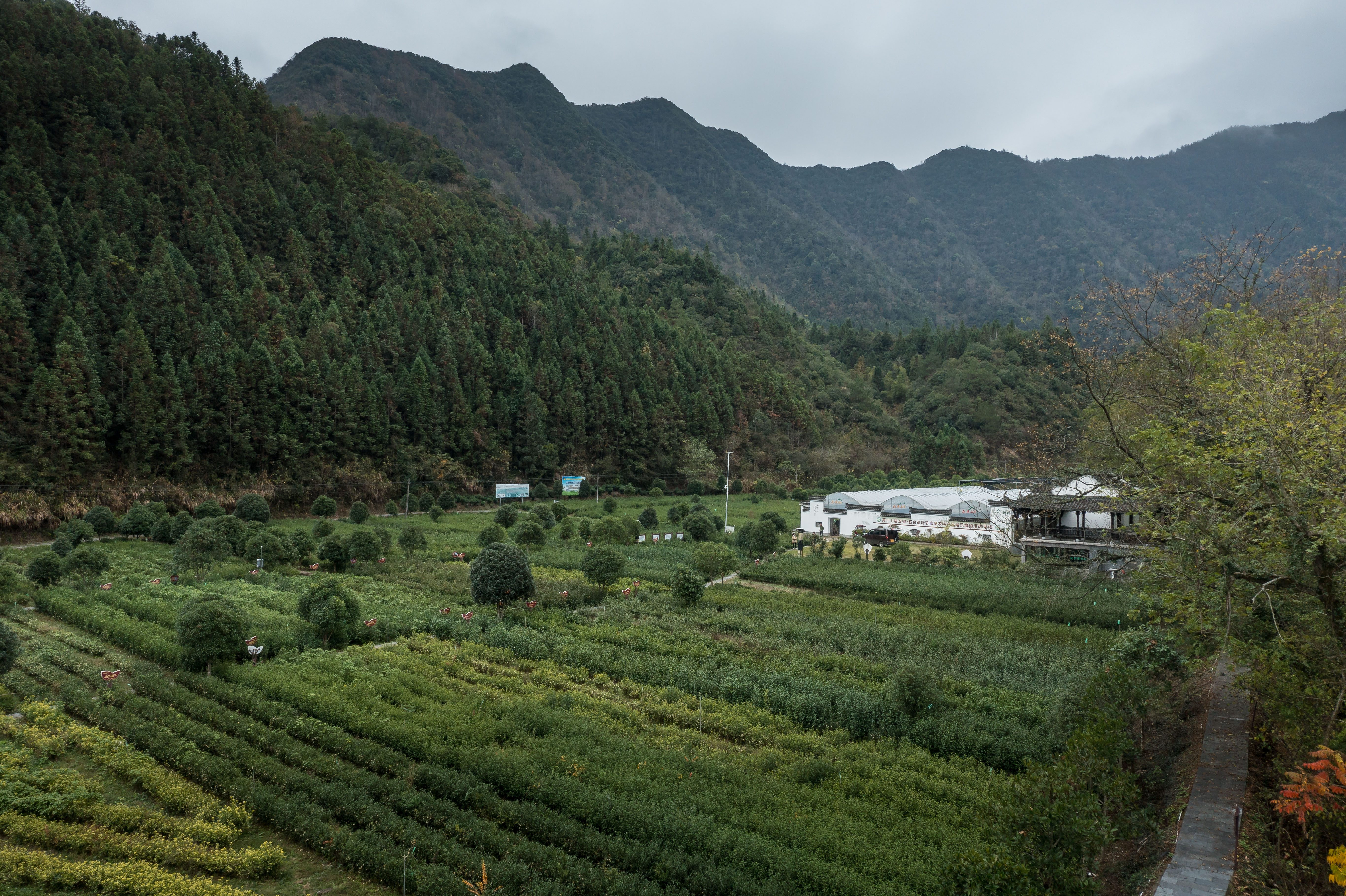 骑行|来石台骑行，“富硒”又“负氧”，看原生态醉美山水