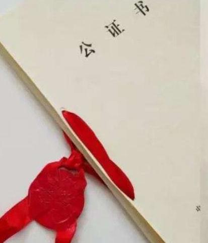 5位老人霸占侄女房子,将侄女婿打进医院,直言:怪她太自私