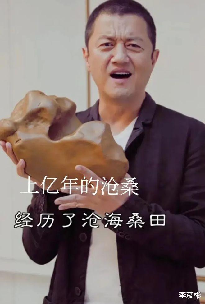 李亚鹏|李亚鹏疯了，捧着一块破石头说，这块石头现在价值3个亿！