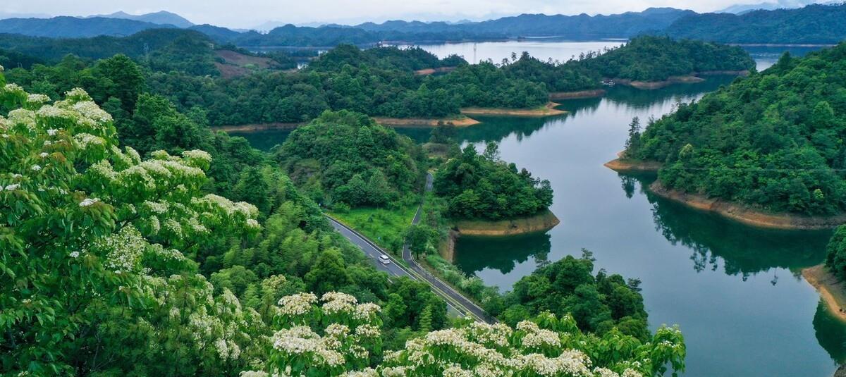 浙江省|以稀有古树名木而闻名的村庄是哪里?蚂蚁新村今日答案
