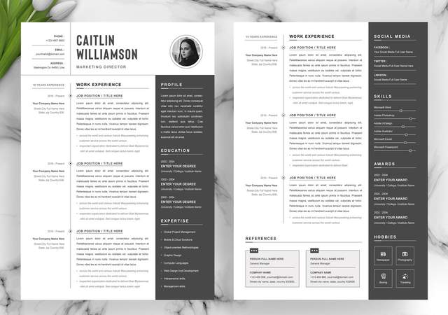 |国外简历设计欣赏!为形象加分